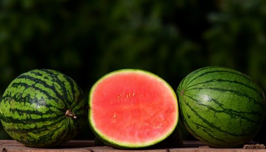 Meloen met rood fruit en vanilleroom